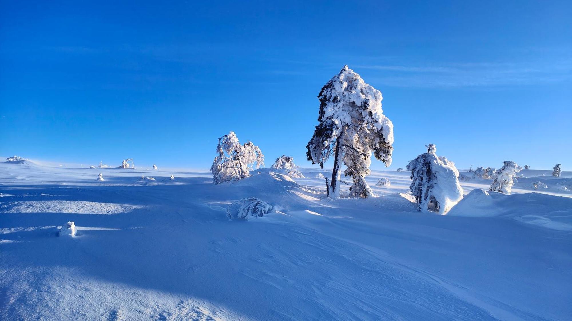 Fulufjellet Otel Ljørdal Dış mekan fotoğraf