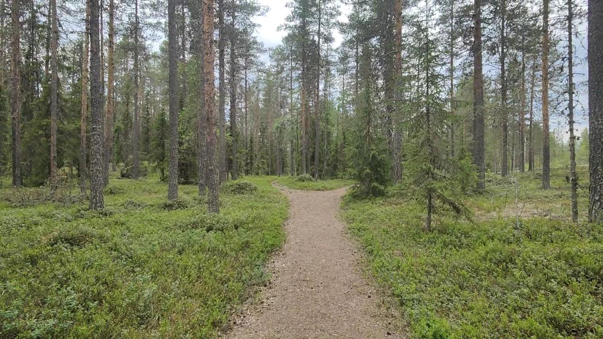 Fulufjellet Otel Ljørdal Dış mekan fotoğraf