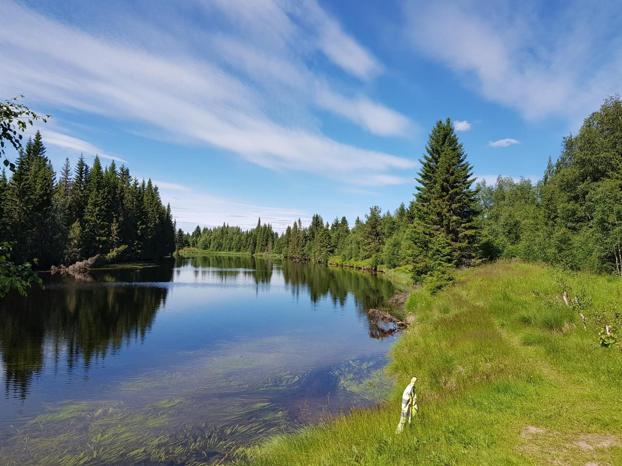 Fulufjellet Otel Ljørdal Dış mekan fotoğraf